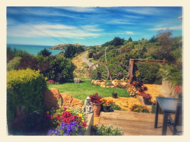 Noah'S Boutique Accommodation Moeraki Eksteriør billede